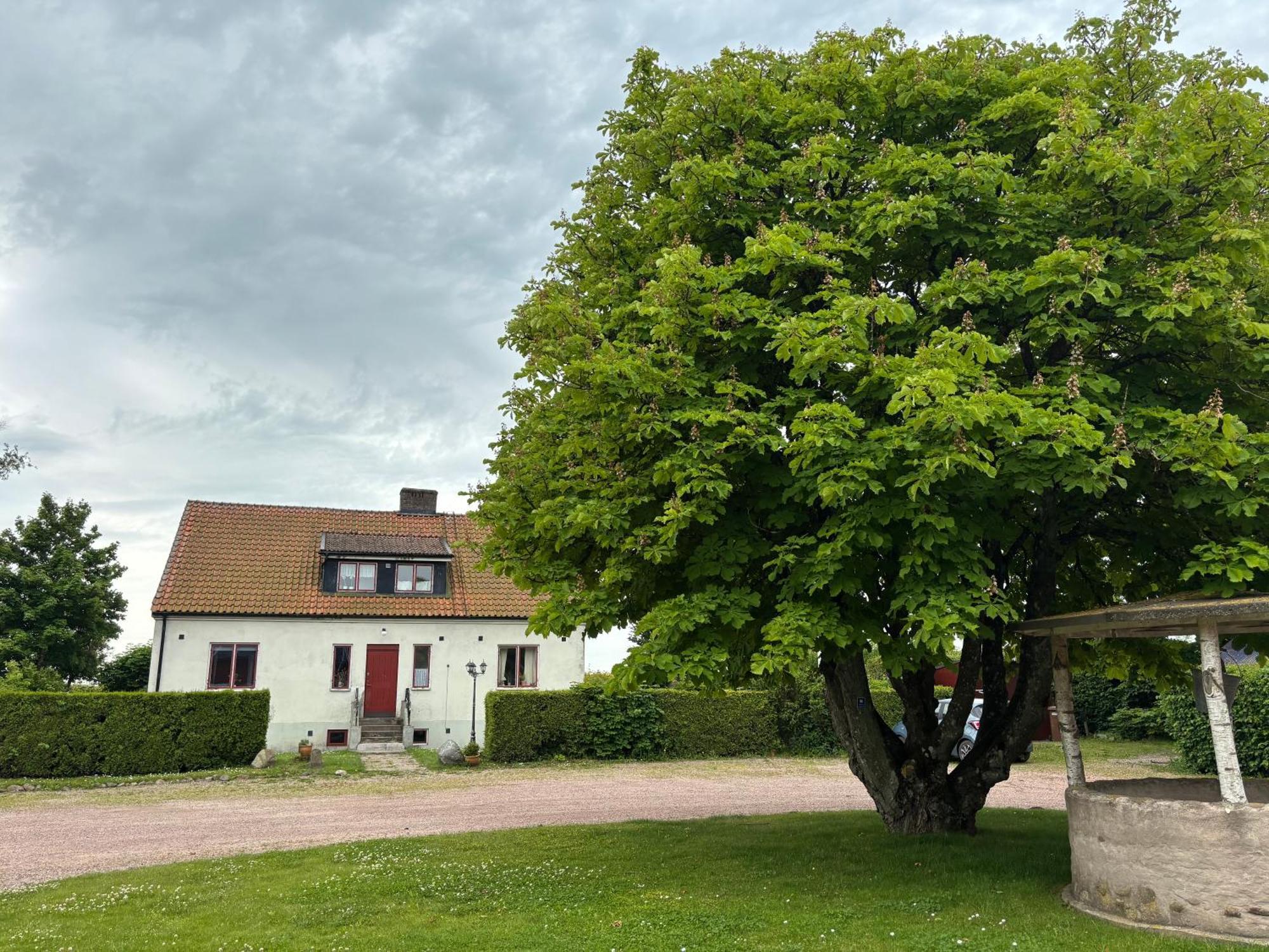Hanksville Farm Svalöv Zewnętrze zdjęcie
